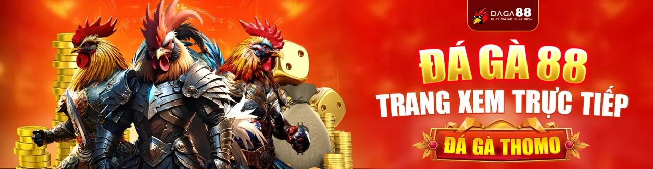 Hình ảnh trận đấu đá gà trực tuyến X5BET