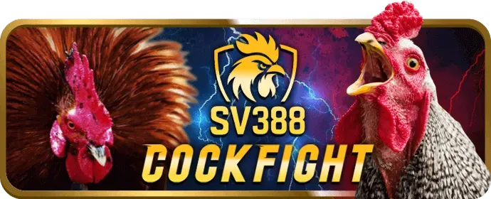 Giao diện thân thiện, dễ sử dụng của X5BET